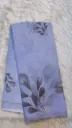 Golden Beauty Sarees - Pastel Blue