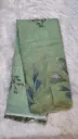 Golden Beauty Sarees - Pastel Green